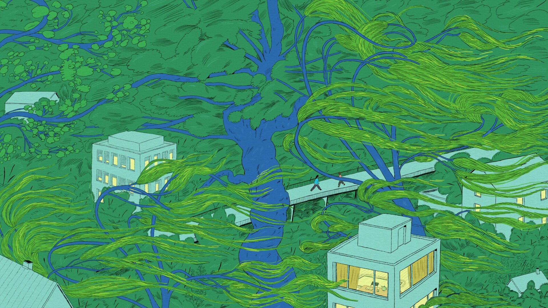 Seeing the Forest for the Trees